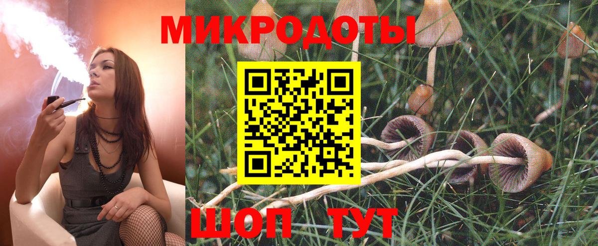 Елабуга  Галлюциногенные грибы мухоморы  продажа наркотиков  Вход с VPN  Псилоцибиновые грибы ЛСД 